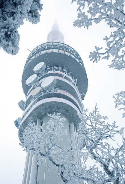 istock Tv tower in winter among trees 959324902
