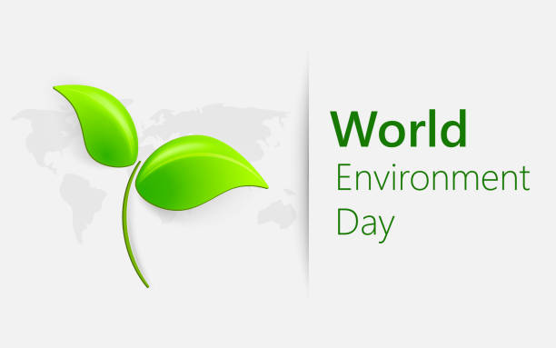 istock World Environment day concept. Banner for world environment day with green leaves. 959325444