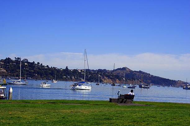 istock Sausalito California by the San Francisco Bay 95932989