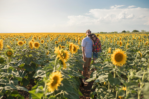 Young, happy heterosexual couple standing in the sunflower field and enjoying their love.