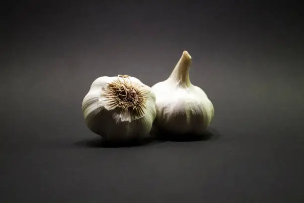 two garlic bulbs with skin on black background