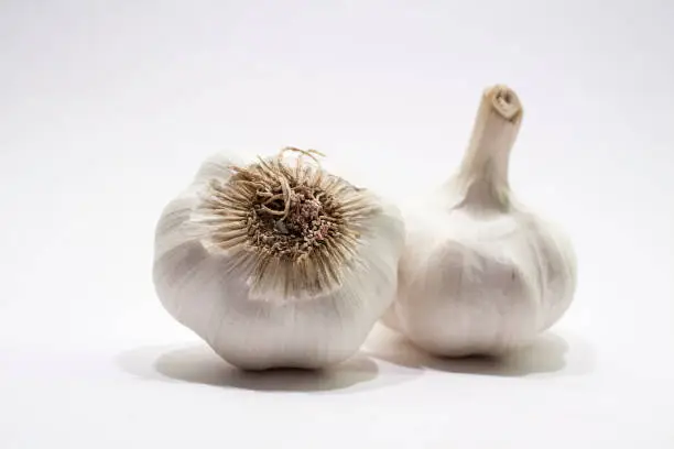 two garlic bulbs with skin on white background