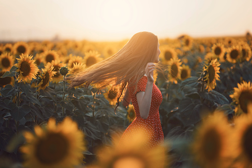 Beautiful, young woman in red dress dancing and enjoying in the sunflower field.