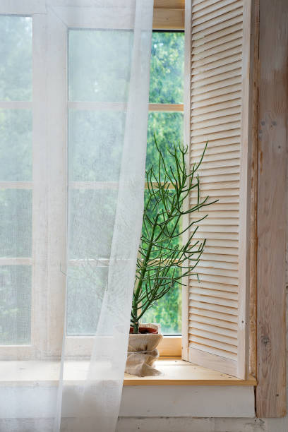 istock Glass windows with white curtains and flower in a pot 959332894