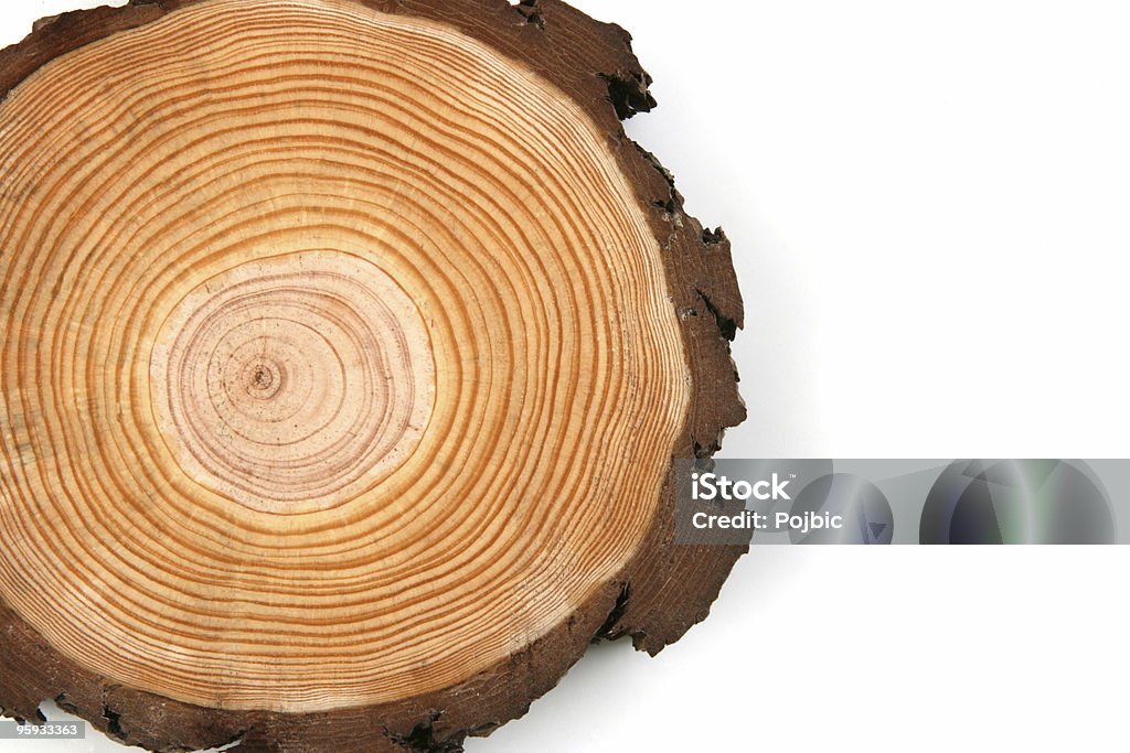 Legno crossection - Foto stock royalty-free di Anello di albero