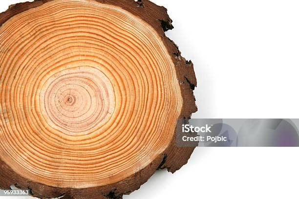 Legno Crossection - Fotografie stock e altre immagini di Anello di albero - Anello di albero, Sezione trasversale, Albero