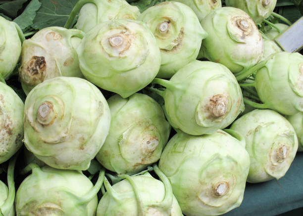 viele kraut rüben auf einen bauernmarkt - kohlrabi stock-fotos und bilder