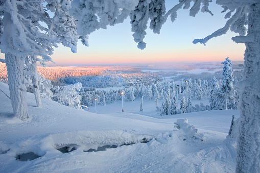 Winter sunrise at Riisitunturi National Park in Northern Finland. Trees under heavy loads of snow