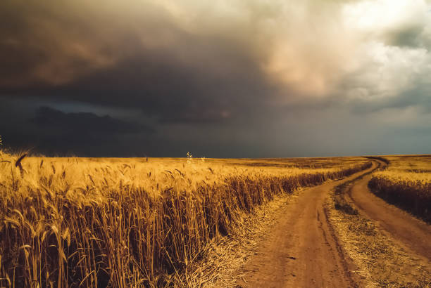 droga do burzy - tornado storm road disaster zdjęcia i obrazy z banku zdjęć