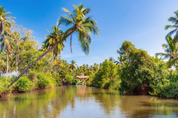 istock Dutch canal in Negombo. 959347866