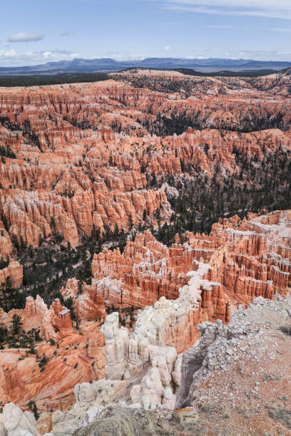 istock Colorful Landscape Background Of Bryce Canyon 959350792
