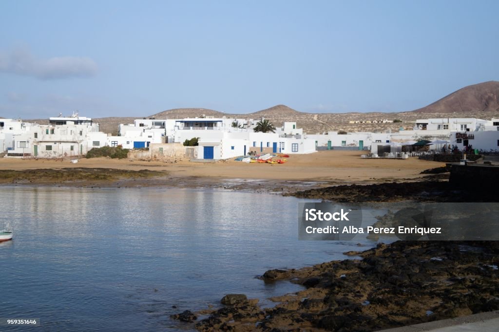 La Graciosa, Canary Islands, Spain Animal Wildlife Stock Photo