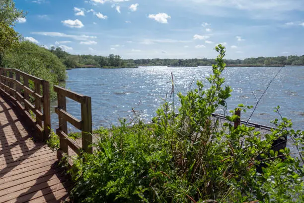 Photo of Fleet Pond Nature Reserve