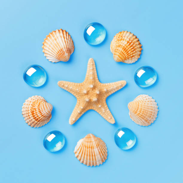 istock Pattern of seashells, starfish, and blue glass beads on a light blue background. 959356964