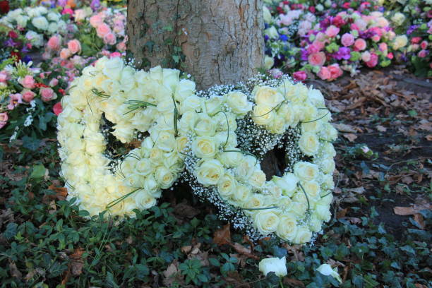 istock Sympathy flowers near a tree 959363654