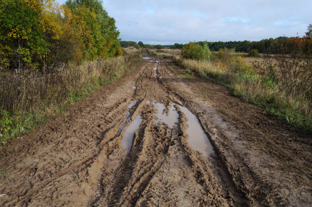 istock Dirt road with puddles in autumn 959367364