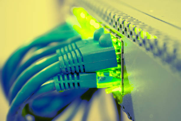 ネットワークの配線は、管理スイッチに接続されます。インターネット機器のポートで緑の徴候示さない。青いパッチコードの束は、ネットワーク ハブのポートに含まれます。選択と集中 - cable network server network connection plug green ストックフォトと画像
