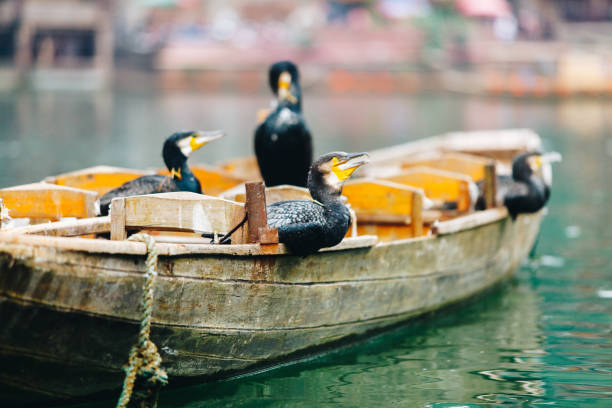 istock Fenghuang Ancient city Hunan, China 959368984