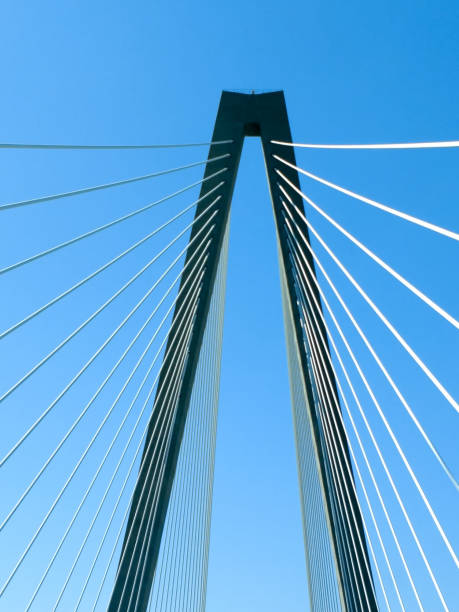 istock The Cooper River Bridge - Charleston, South Carolina 959371620