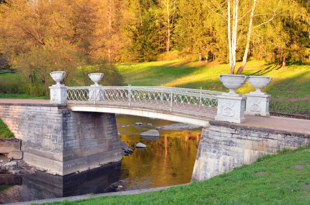 istock Cast-iron bridge in Pavlovsk Park. 959371910