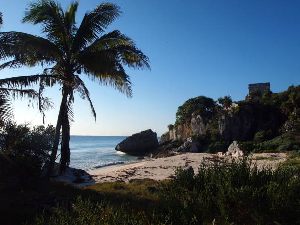 istock Bay on the Caribbean - with palm tree, beach and cliff (with ruins) visible. 959371986