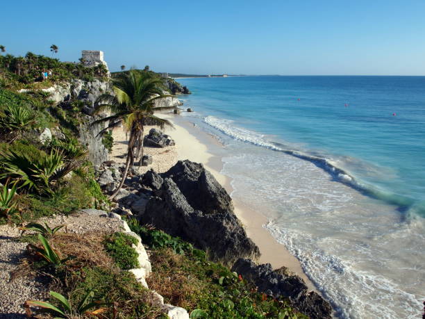 istock Caribbean coast, seen from above. With surf, waves, sandy beach, rock, palm tree and ruins visible far away. 959372006