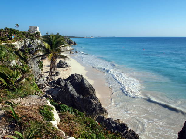 istock Coastal scene with sandy beach, waves, palm tree, cliff and old ruins. 959372014