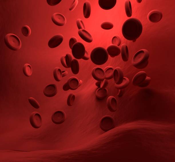 istock Blood and artery in microbiology 3d rendering 959372206