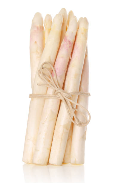 istock Bundle of white asparagus shoots, upright standing 959372558