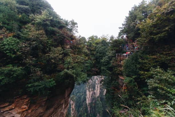 istock Zhangjiajie National Forest Park 959372764