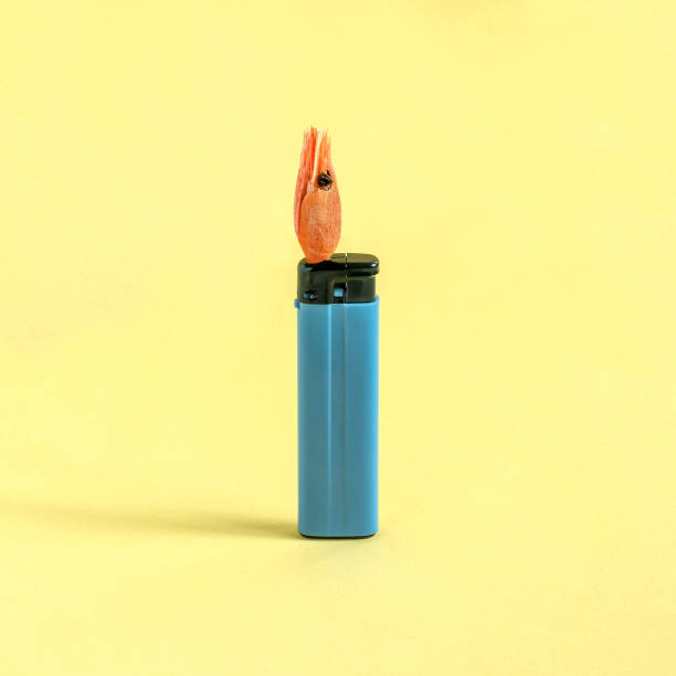istock Creative idea: gas lighter with shrimp instead of fire 959372770