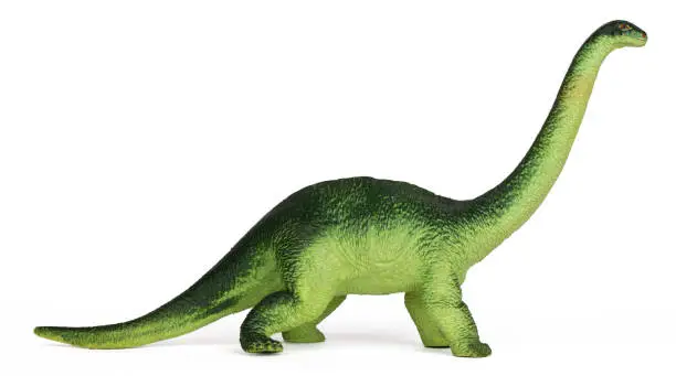 Photo of dinosaur