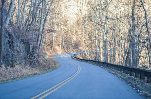 istock Blue Ridge Mountains, Asheville, NC 959378436