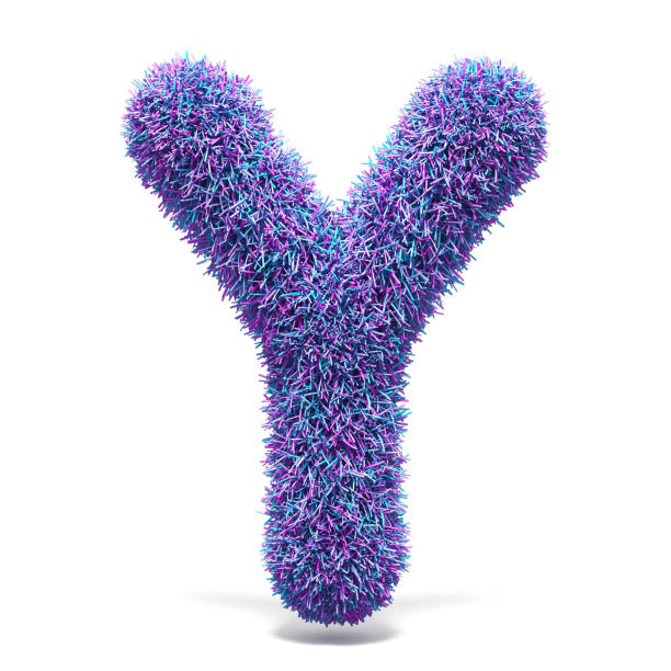 istock Purple faux fur LETTER Y 3D 959381784