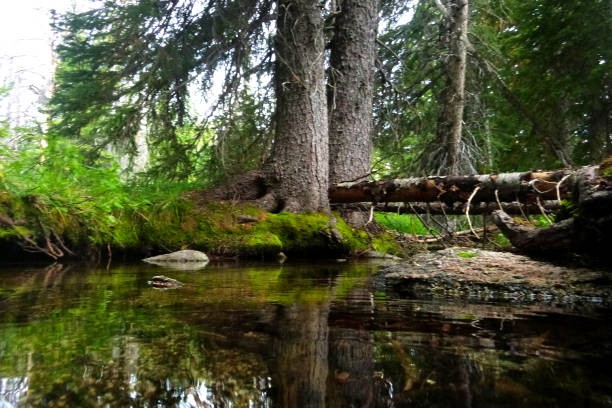 istock Sun Valley Idaho outdoor summer life. 959385970