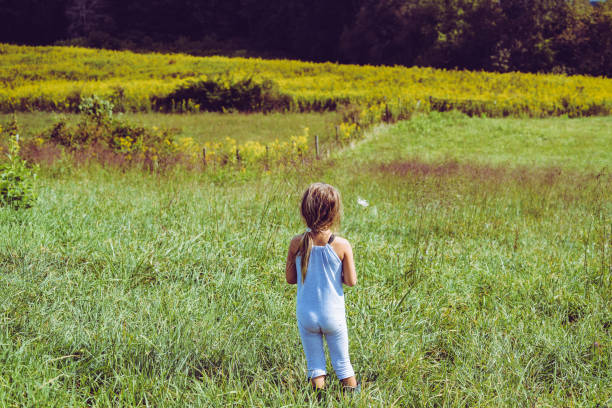 istock Among the Wildflowers 959386696