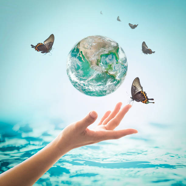 istock World ocean day,, saving water campaign, sustainable ecological ecosystems concept with green earth on woman's hands on blue sea background : Element of this image furnished by NASA 959387248