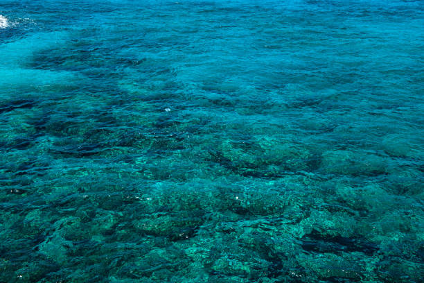istock Natural background of emerald, turquoise sea water 959387790