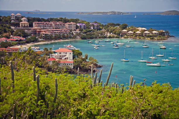 istock View of caribbean harbour 959390444