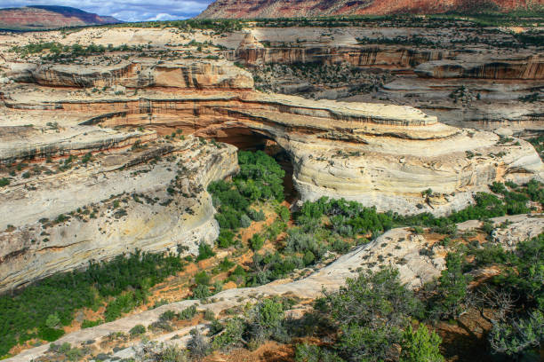 istock Natural Bridges National Monument - Utah 959394074