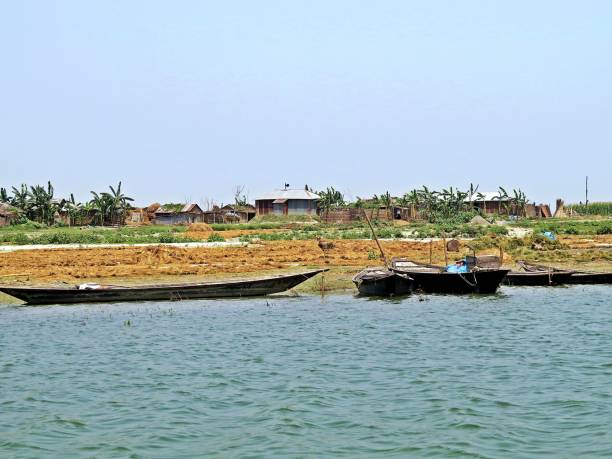 istock temporary settlement on island, Jamuna River 959398192