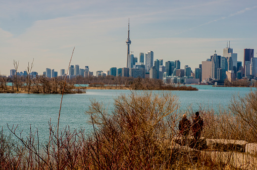 One of the most interesting characteristics of Tommy Thompson Park (TTP) is that the land on which it lies is completely man-made.