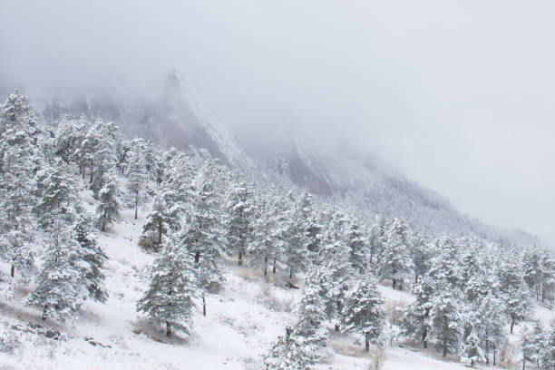 冬のロッキー ・ マウンテン フロント レンジ - denver colorado colorado winter snow ストックフォトと画像