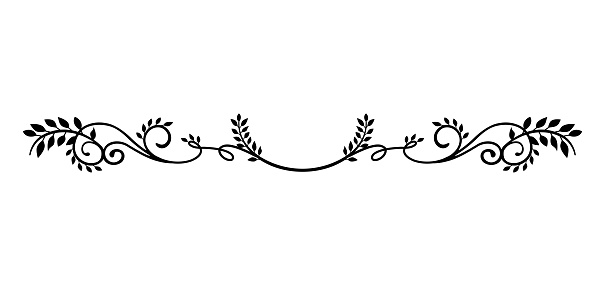 decorative vintage border illustration (natural plant)