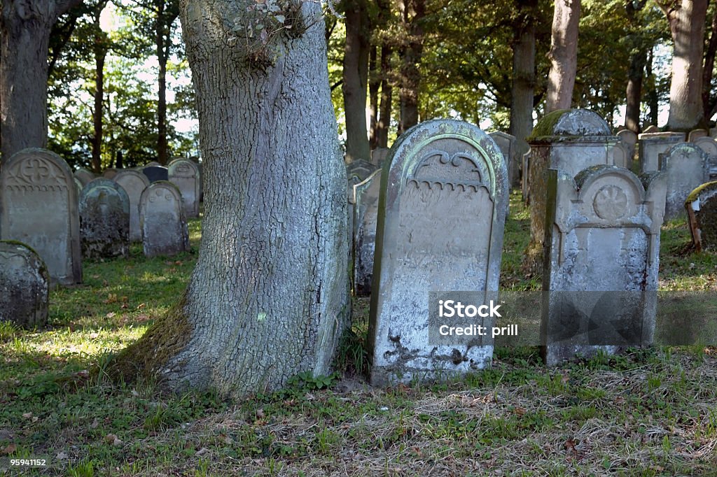 Alten Grabsteinen in der Nähe der Stamm - Lizenzfrei Allegorie Stock-Foto