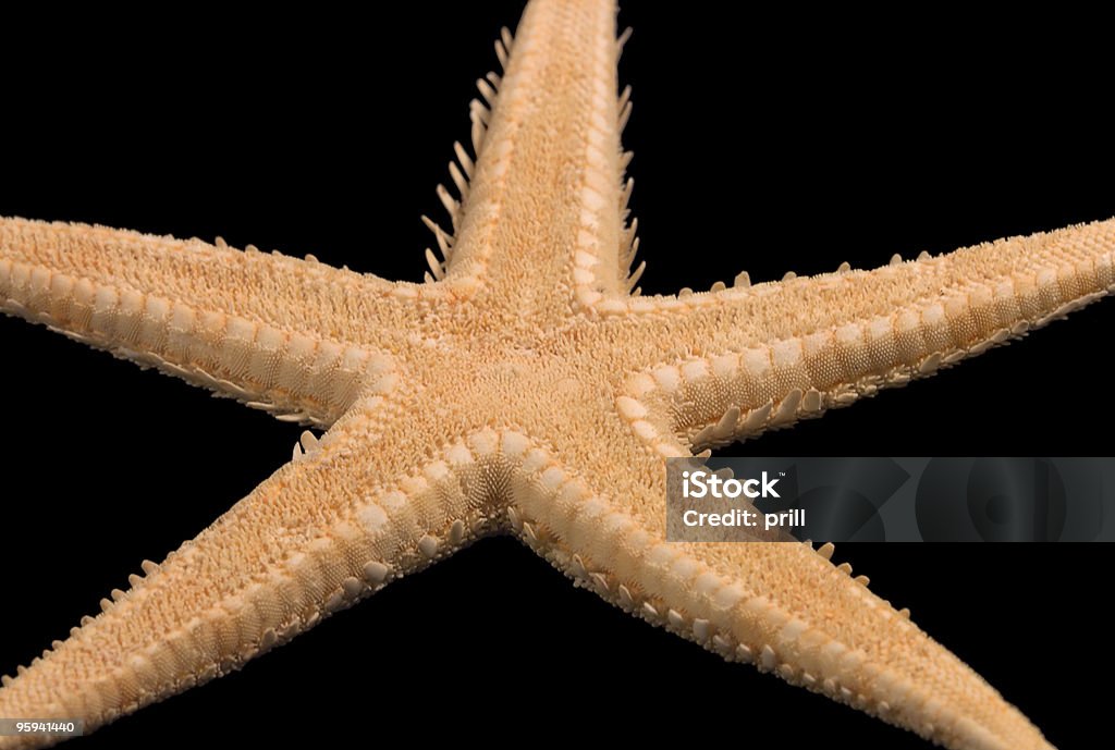 Estrela sobre preto - Royalty-free Alegoria Foto de stock