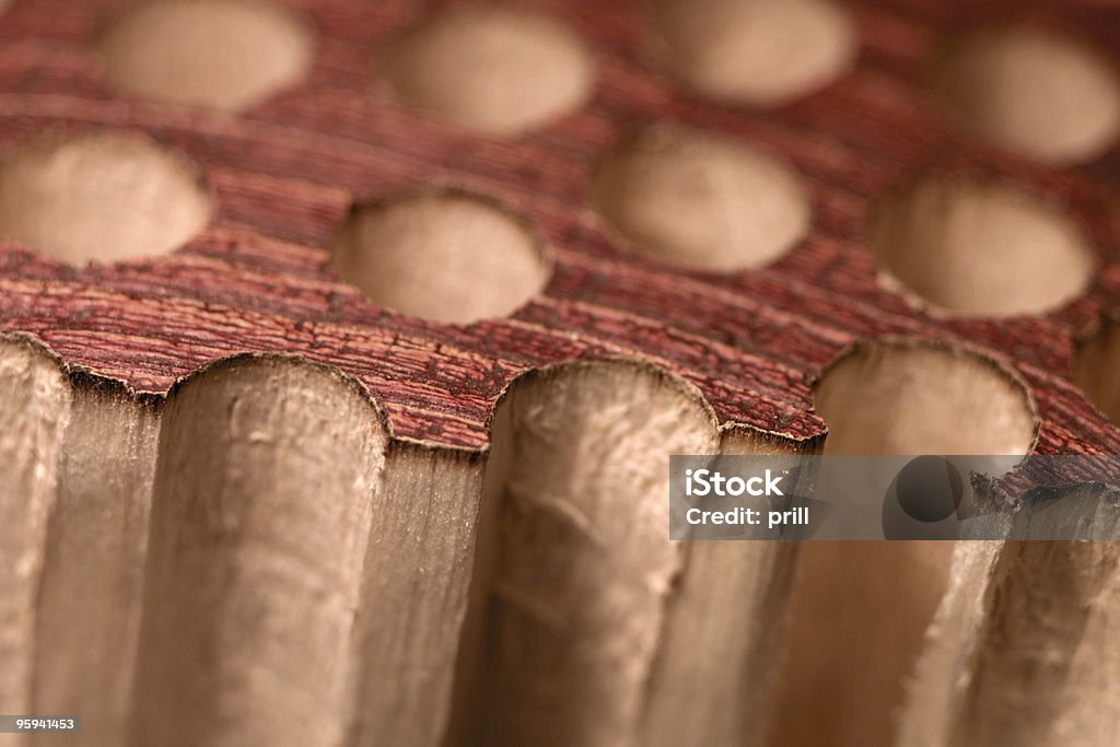Poroso detalles de madera - Foto de stock de Abstracto libre de derechos