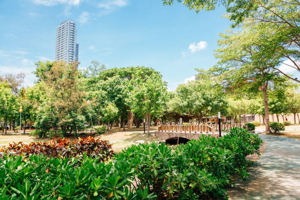istock Central Park nature view in Kaohsiung, Taiwan 959414850