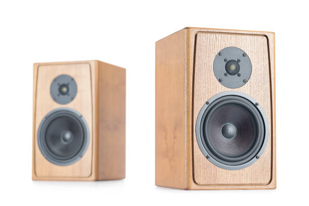 istock Two wooden speakers isolated on white background. 959415652