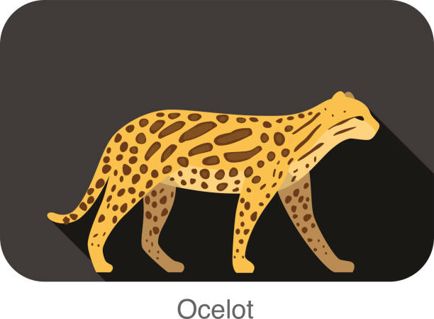 ilustrações, clipart, desenhos animados e ícones de jaguatirica grande gato andando lado liso 3d ícone do design - jaguatirica